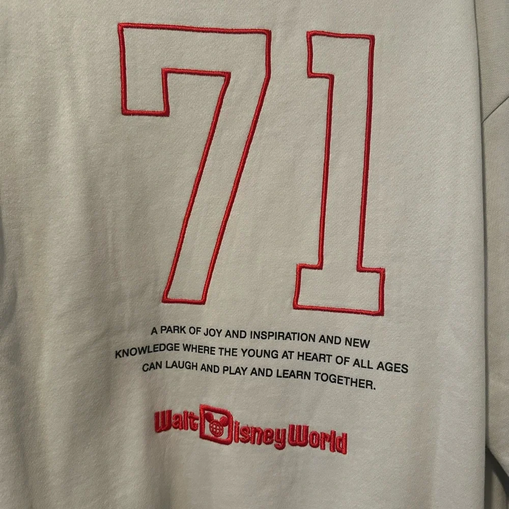 NWT Cream Crewneck Sweatshirt with Embroidered Details - Picture 5 of 14